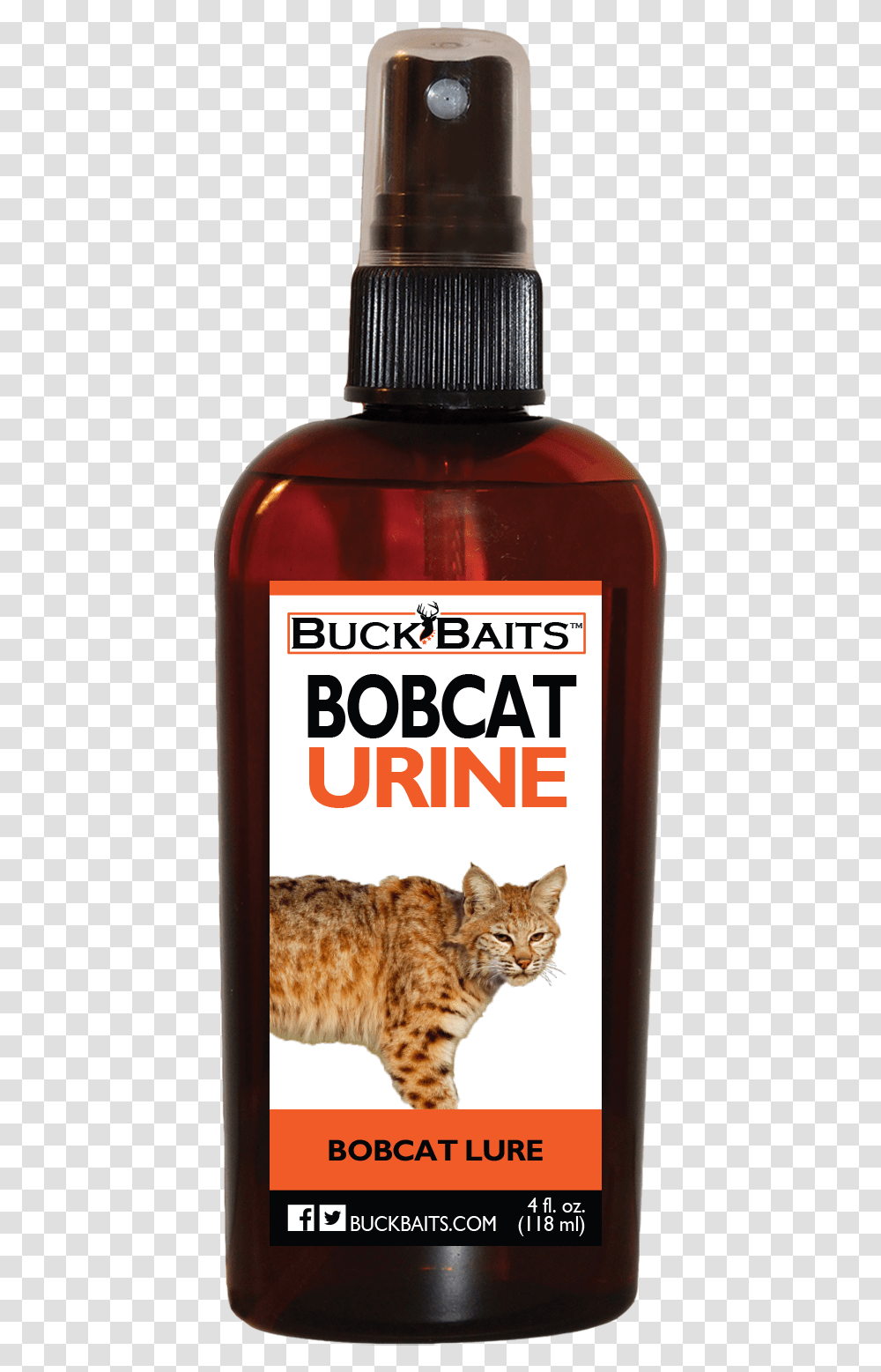 Bobcat Urine, Pet, Mammal, Animal, Food Transparent Png