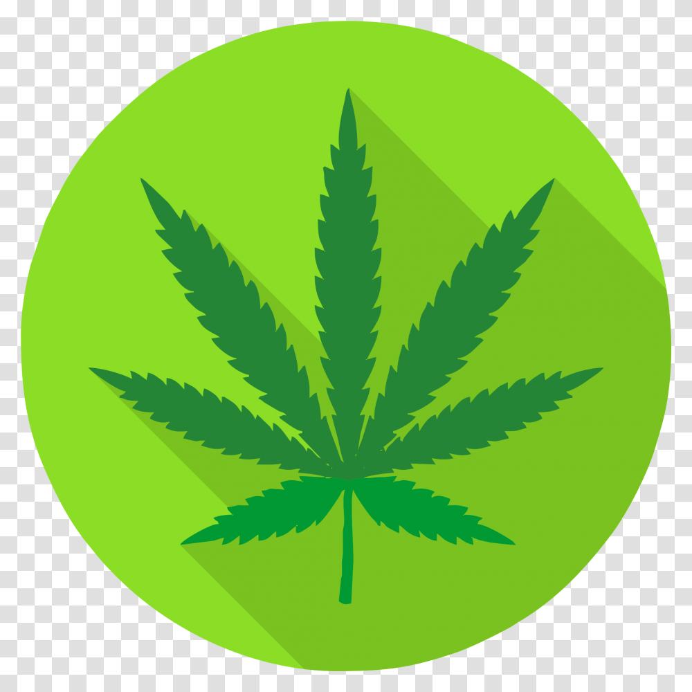 Boca Recovery Center Get Sober Today Addiction Background Pot Leaf, Plant, Hemp, Weed, Green Transparent Png