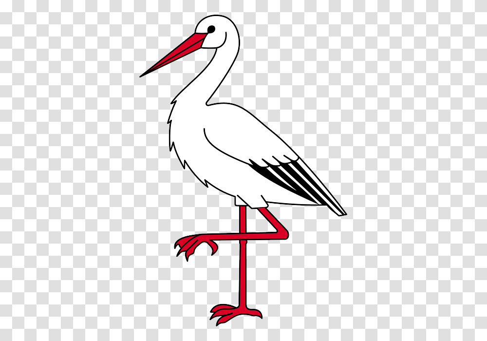 Bocian Ovi Birds Clip Art And Bird Template, Animal, Stork, Flamingo, Beak Transparent Png