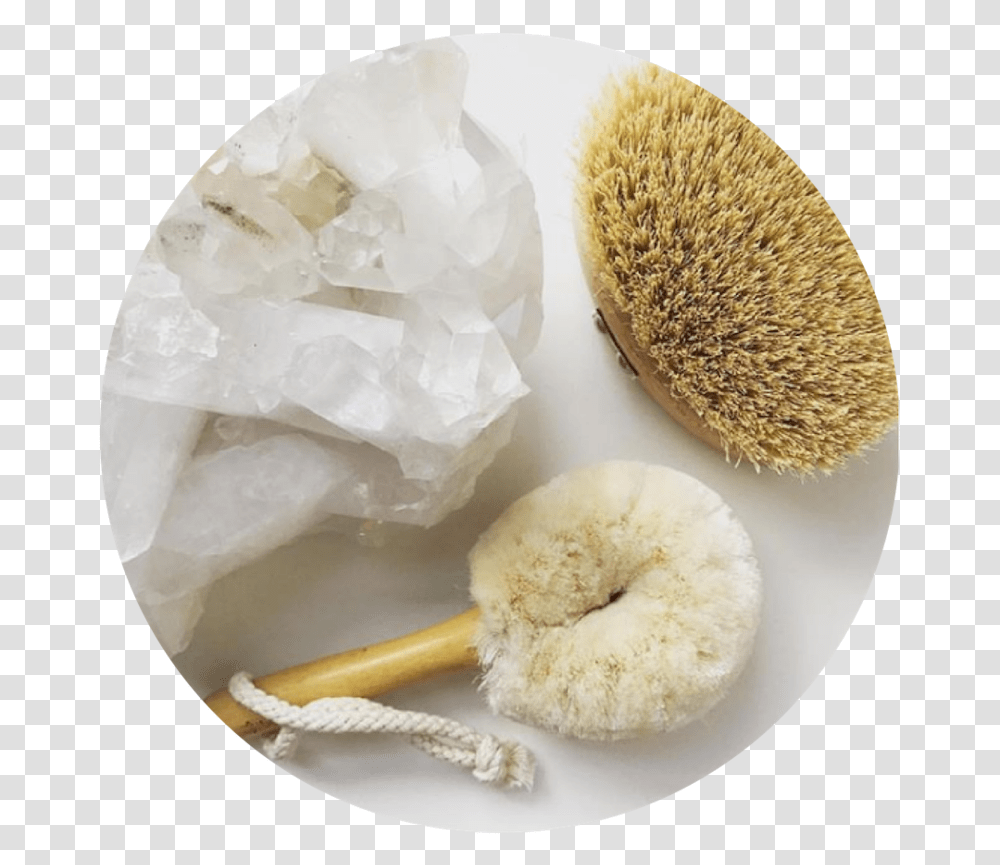 Bodecare Brushes Sculpture, Hedgehog, Mammal, Animal, Plant Transparent Png