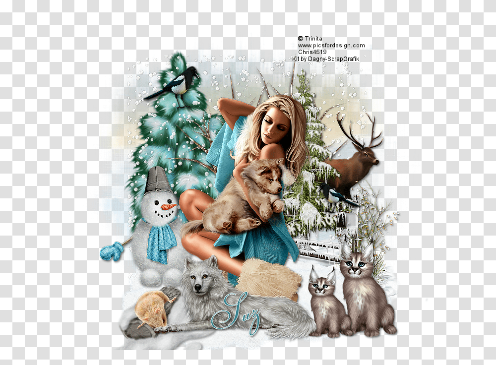 Bodique, Advertisement, Poster, Collage, Cat Transparent Png