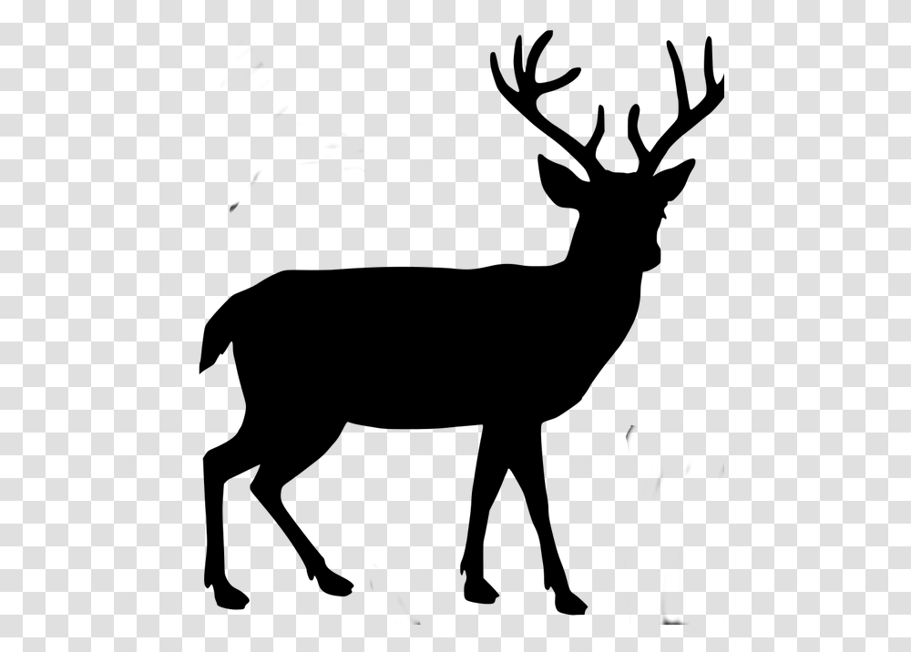 Body Buck Background Deer Silhouette, Gray, World Of Warcraft Transparent Png
