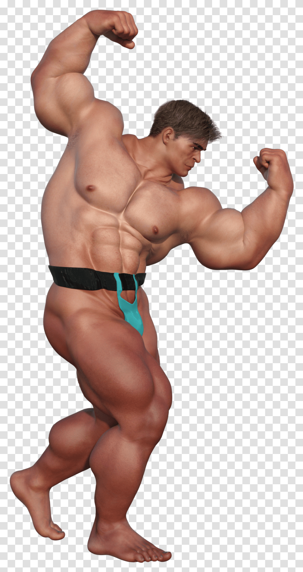 Body Builder 3d Model, Person, Human, Arm, Torso Transparent Png