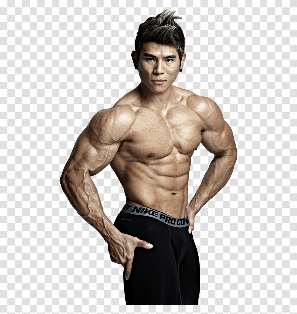 Body Builder, Person, Human, Arm Transparent Png