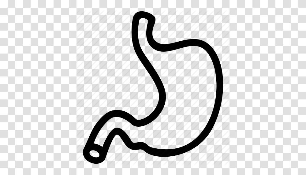 Body Digestive Human Medical Organ Stomach System Icon, Piano, Leisure Activities, Alphabet Transparent Png