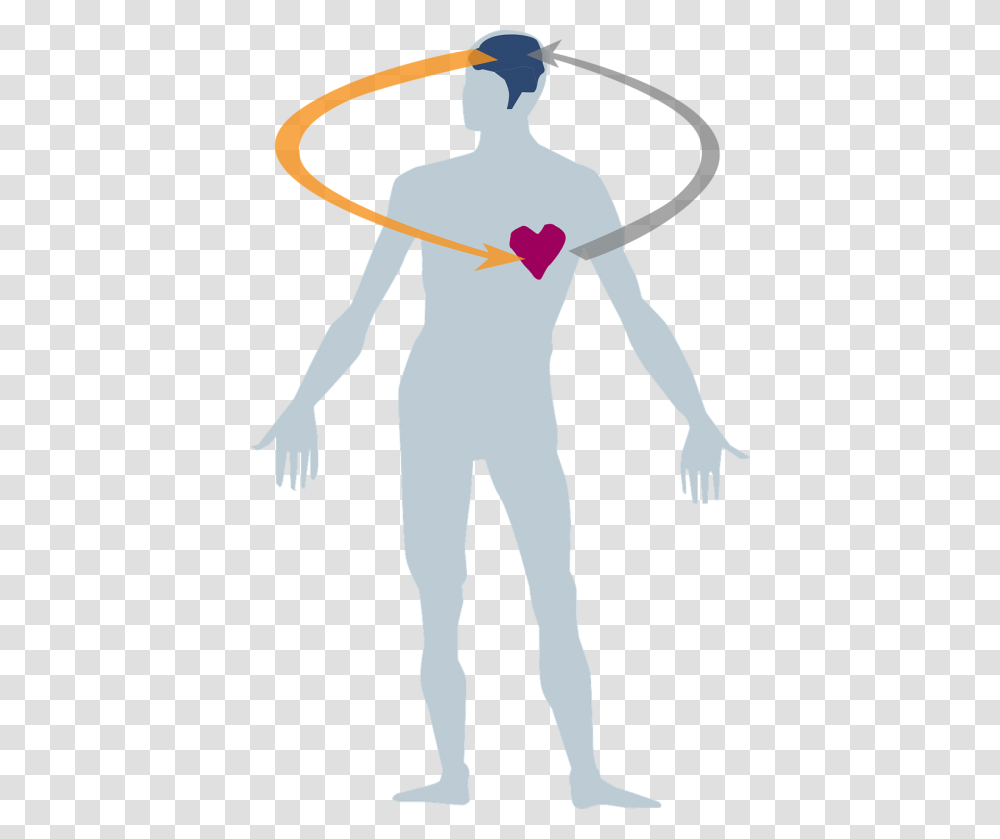 Body Heart Clipart Human Body And Health, People, Person, Pattern, Leisure Activities Transparent Png