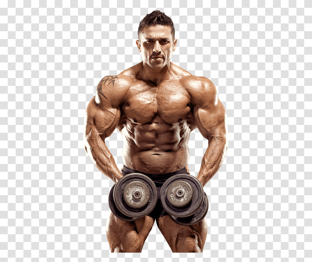Body Image Guys, Person, Human, Fitness, Working Out Transparent Png