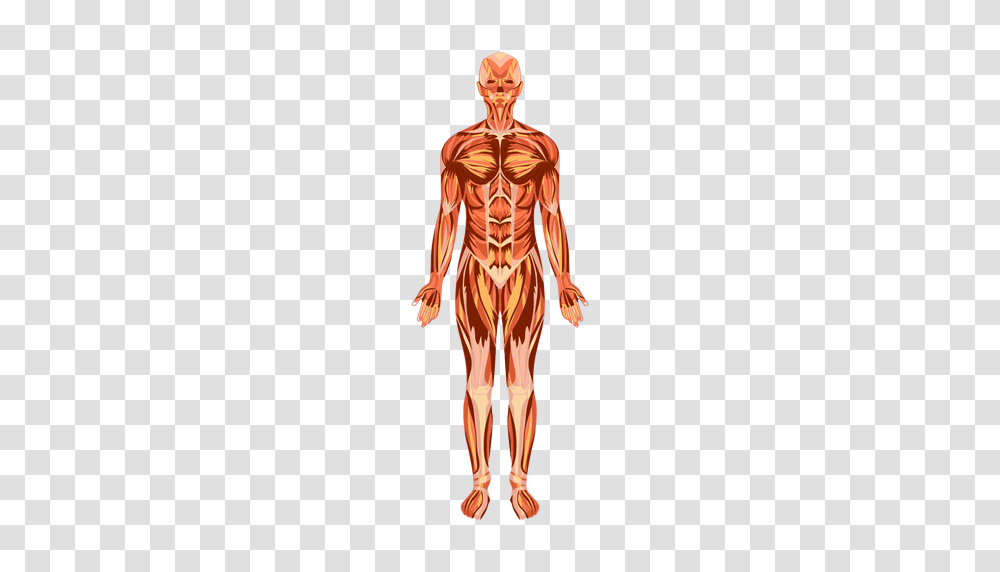 Body Images, Alien, Mammal, Animal, Person Transparent Png