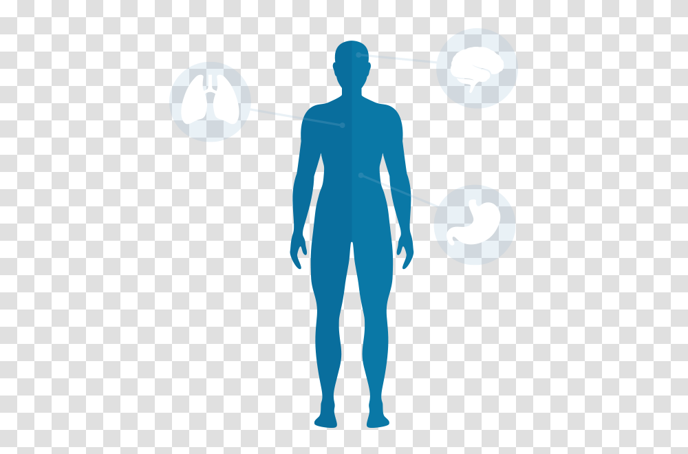 Body Images, Sphere, Juggling, Person, Human Transparent Png