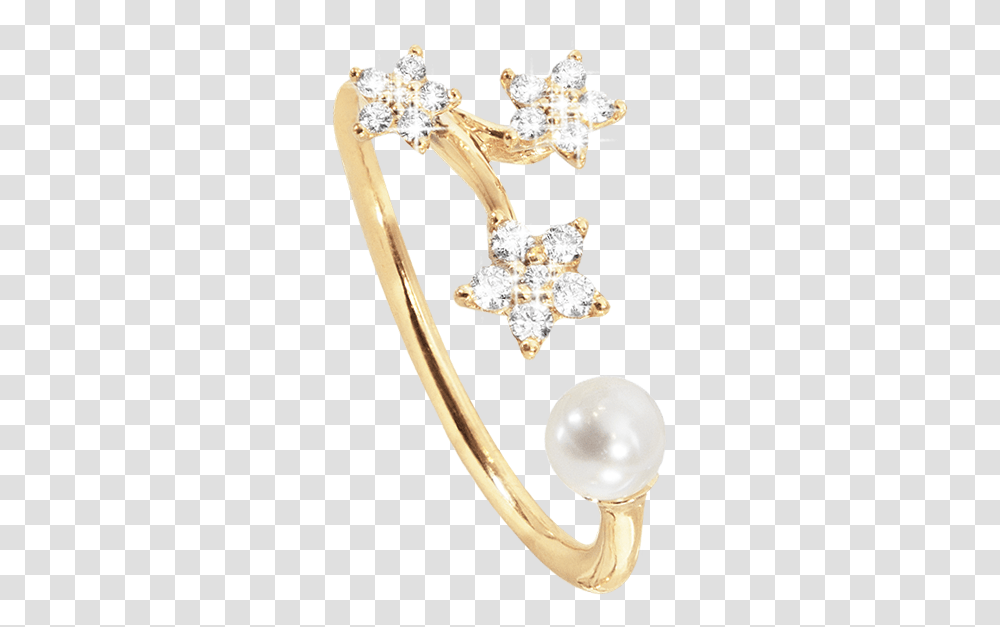 Body Jewelry, Accessories, Accessory, Earring Transparent Png