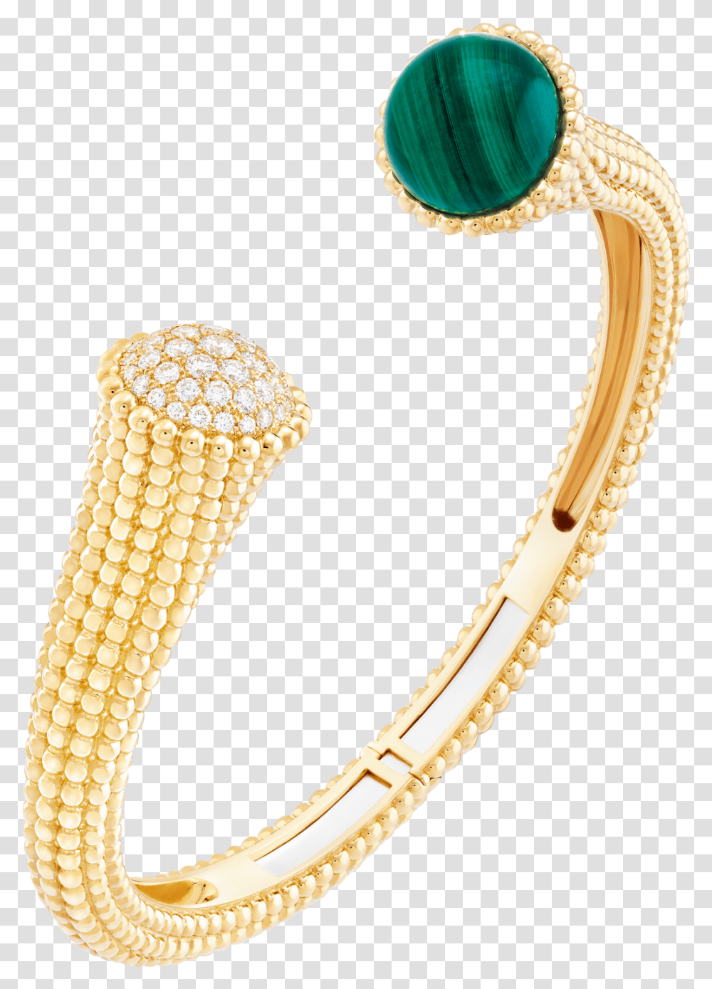 Body Jewelry, Snake, Reptile, Animal, Gold Transparent Png