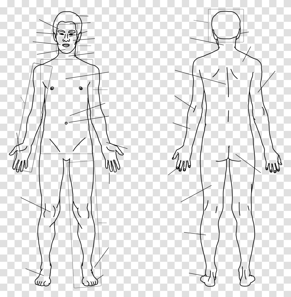Body Outline Clipart Human Body Sketch, Gray, World Of Warcraft Transparent Png