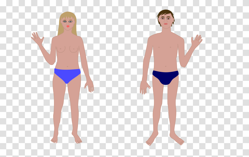 Body Outline Picture, Person, Standing, Shorts Transparent Png