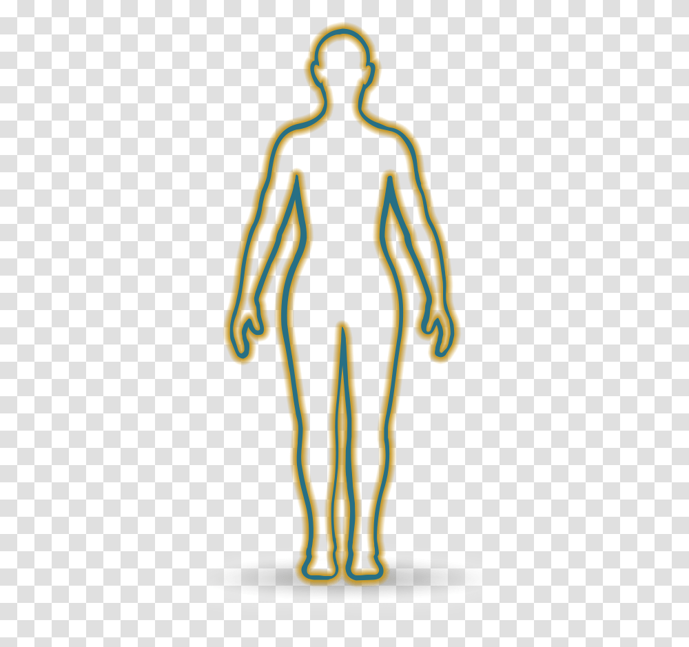 Body Outline With Areas Where Trk Fusion Cancer Has Illustration, Light, Fork, Cutlery, Mansion Transparent Png