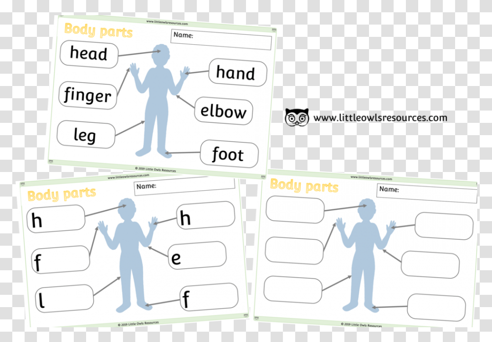 Body Parts Posters Cover Cartoon, Person, White Board, Plot Transparent Png