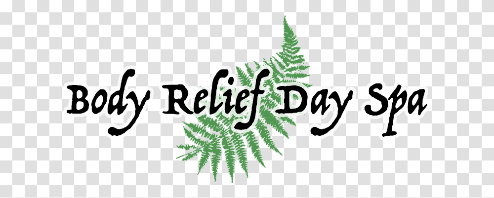 Body Relief Day Spa Fern, Plant, Vegetation, Tree Transparent Png
