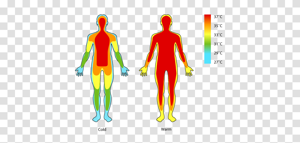 Body Temperature Clipart, Person, People, Sleeve Transparent Png