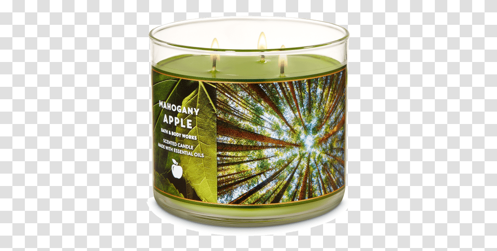 Body Works Mahogany Apple 3 Wick Candle Mahogany Apple Bath And Body Works, Cup Transparent Png