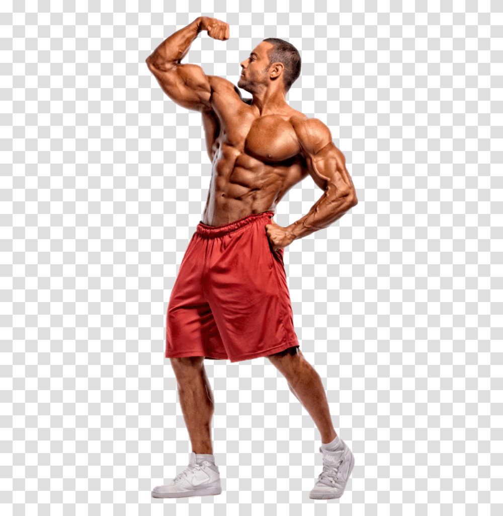 Bodybuilder Full Size, Person, Human, Arm, Mobile Phone Transparent Png