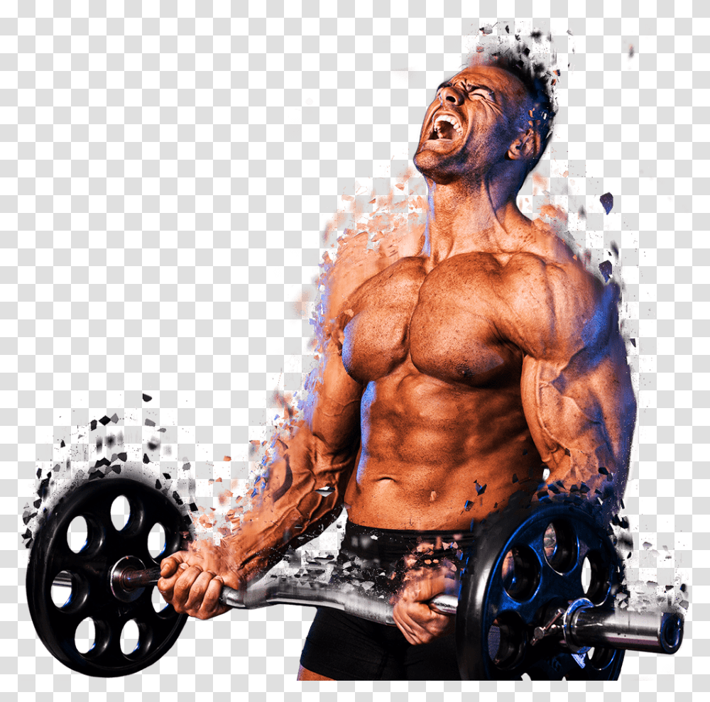 Bodybuilder Images Hd, Person, Human, Working Out, Sport Transparent Png