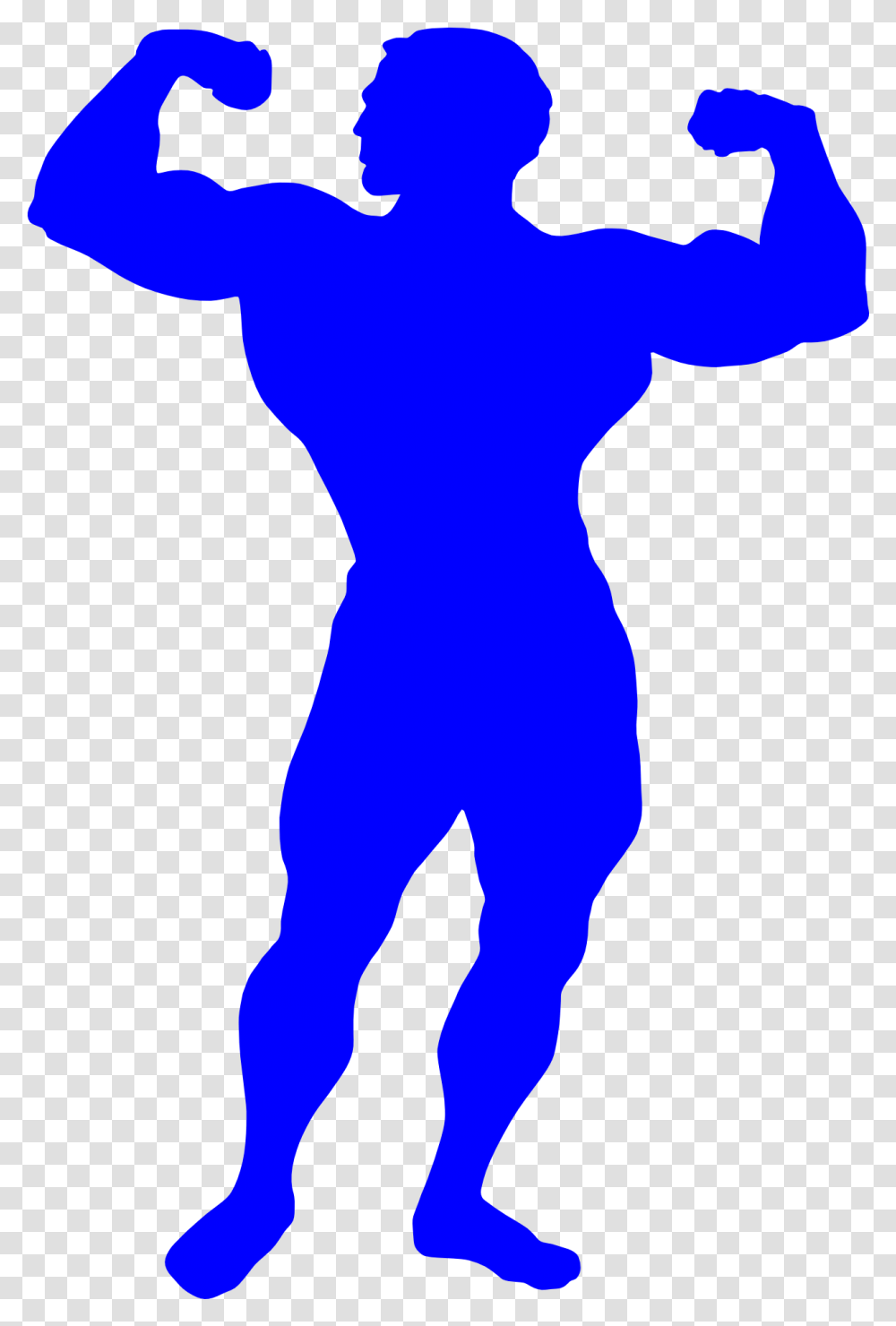 Bodybuilder Man Drawing Free Image Muscle Facts For Kids, Silhouette, Hand, Person, Human Transparent Png