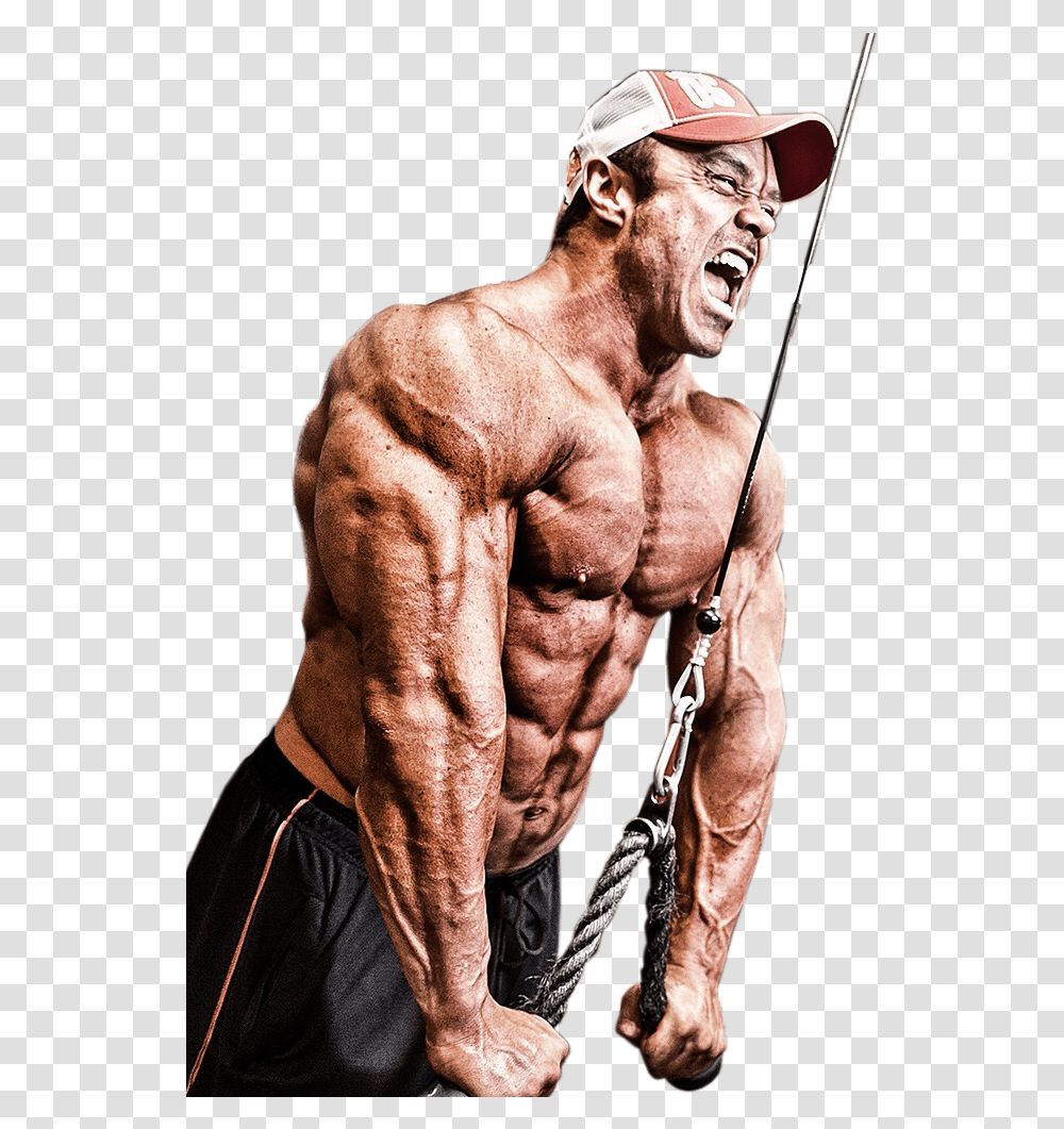 Bodybuilder, Person, Human, Working Out, Sport Transparent Png