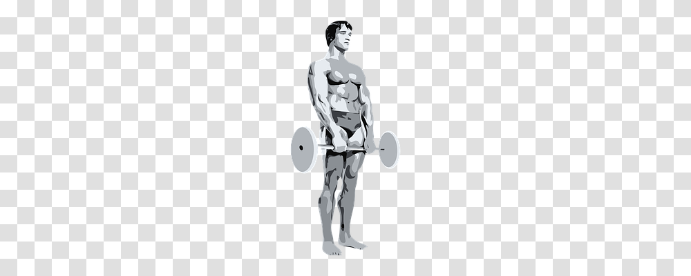 Bodybuilding Person, Human, Drum, Percussion Transparent Png