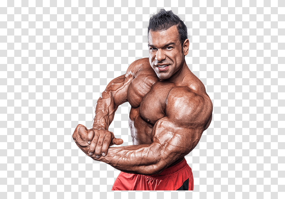 Bodybuilding Bicep Split, Arm, Person, Human, Fitness Transparent Png