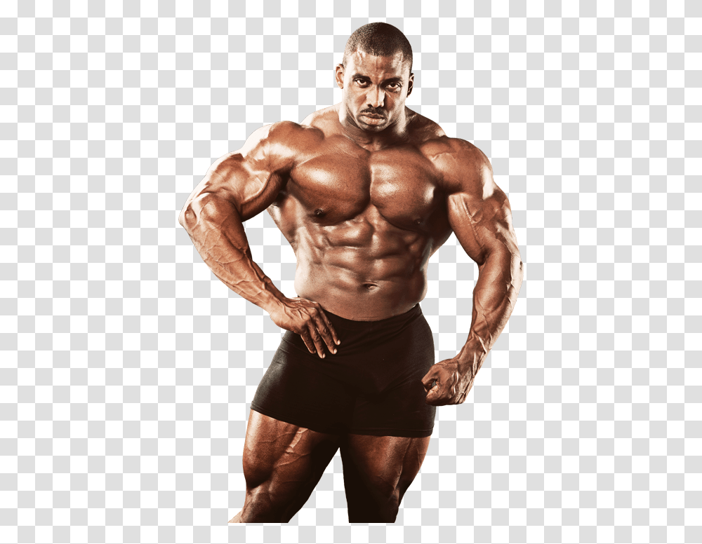 Bodybuilding Body Builder Image, Arm, Person, Human, Fitness Transparent Png