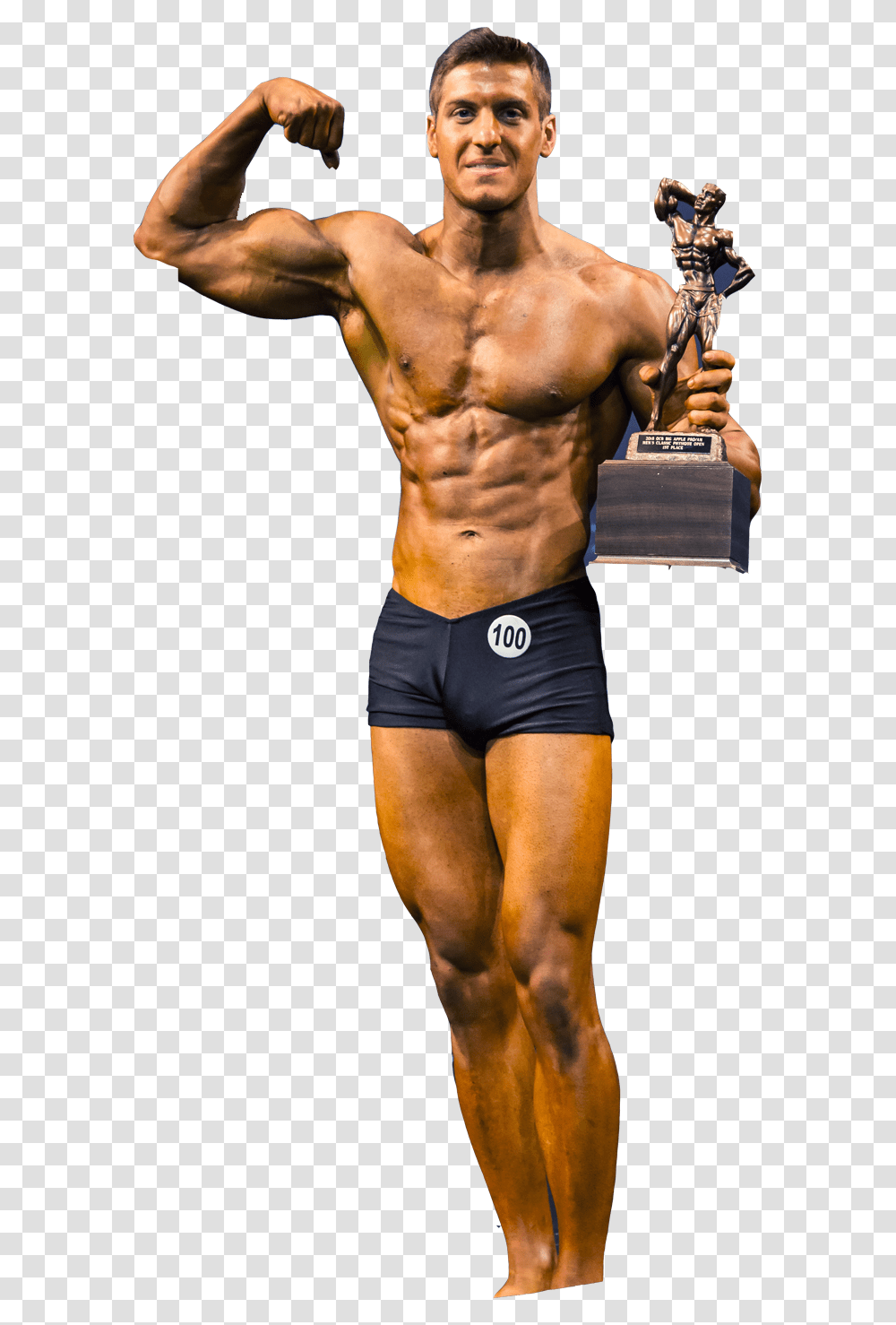 Bodybuilding Fitness And Figure Competition, Person, Human, Arm, Torso Transparent Png