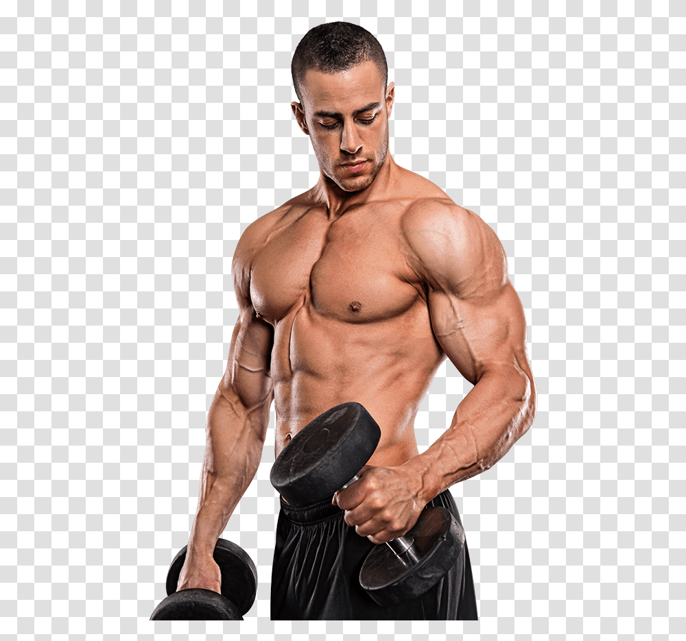 Bodybuilding Gym Model Images, Person, Human, Arm, Fitness Transparent Png