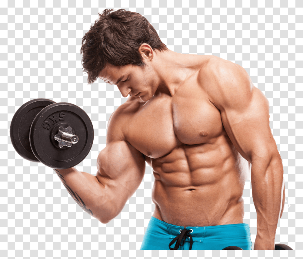 Bodybuilding Image Download Do Muscles Grow, Fitness, Working Out, Sport, Person Transparent Png