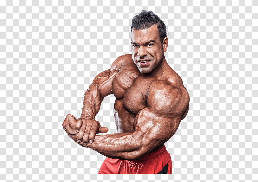 Bodybuilding, Sport, Arm, Person, Human Transparent Png