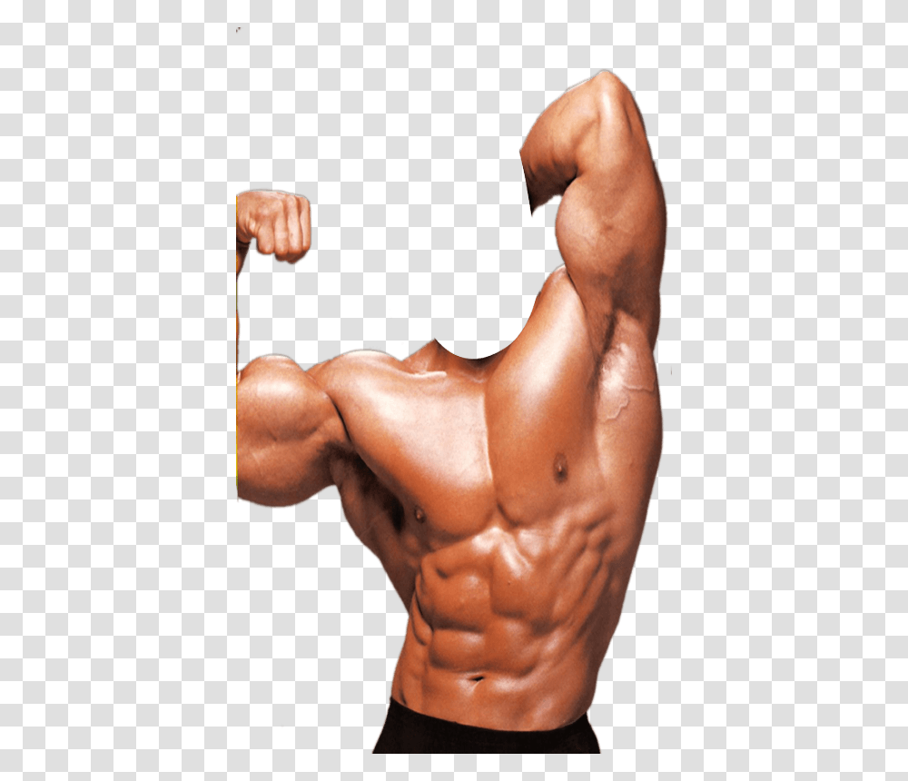 Bodybuilding, Sport, Arm, Shoulder, Person Transparent Png
