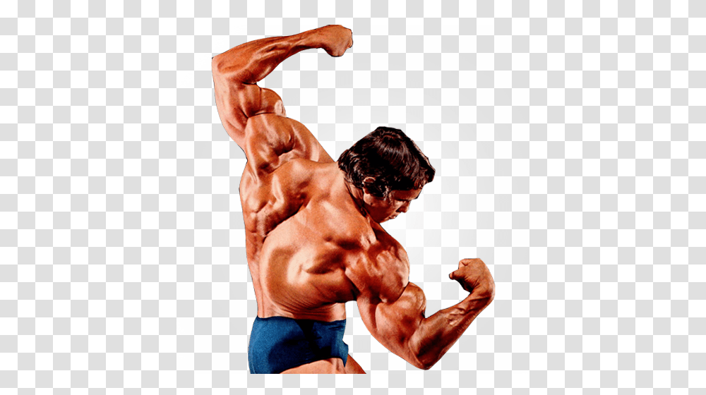 Bodybuilding, Sport, Arm, Shoulder, Person Transparent Png