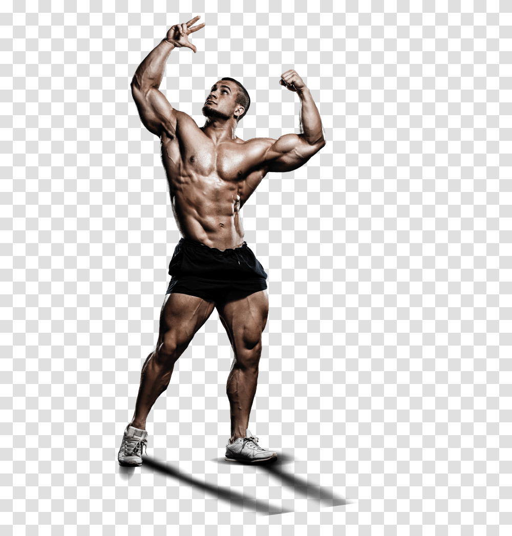 Bodybuilding, Sport, Person, Arm, Man Transparent Png