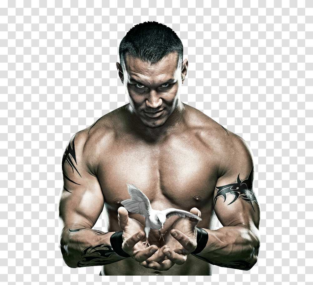 Bodybuilding, Sport, Person, Finger, Animal Transparent Png