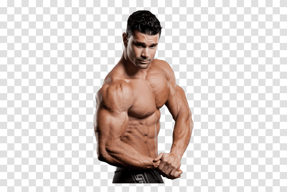 Bodybuilding, Sport, Person, Human, Fitness Transparent Png