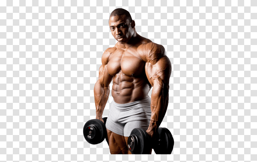 Bodybuilding, Sport, Person, Human, Fitness Transparent Png