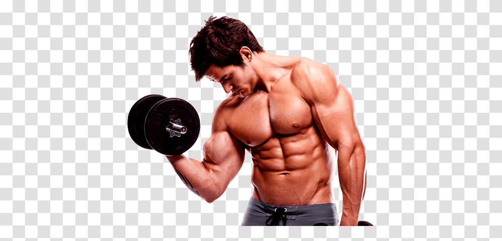 Bodybuilding, Sport, Person, Human, Fitness Transparent Png