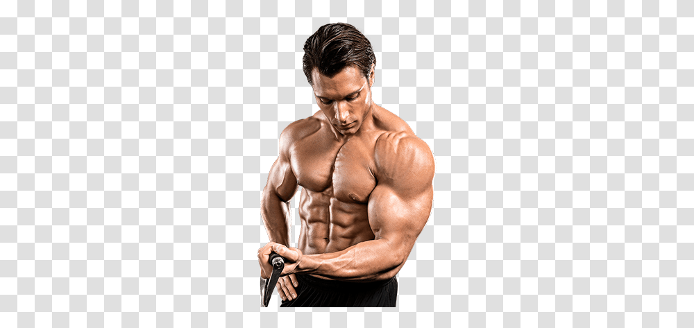 Bodybuilding, Sport, Person, Human, Fitness Transparent Png