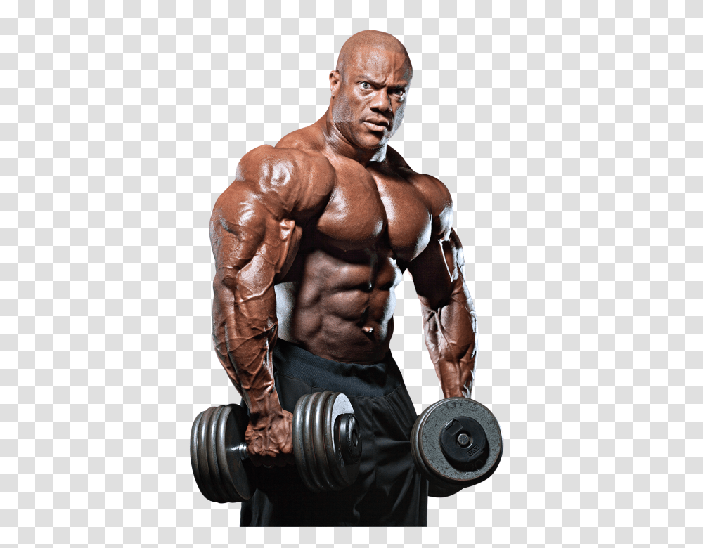 Bodybuilding, Sport, Person, Human, Fitness Transparent Png