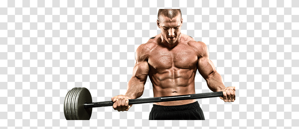 Bodybuilding, Sport, Person, Human, Sports Transparent Png