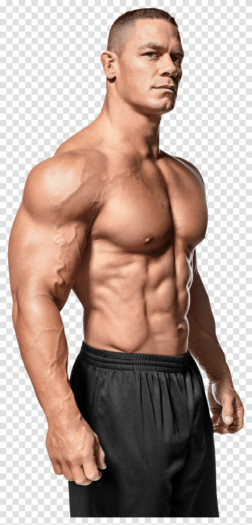 Bodybuilding, Sport, Person, Human, Torso Transparent Png