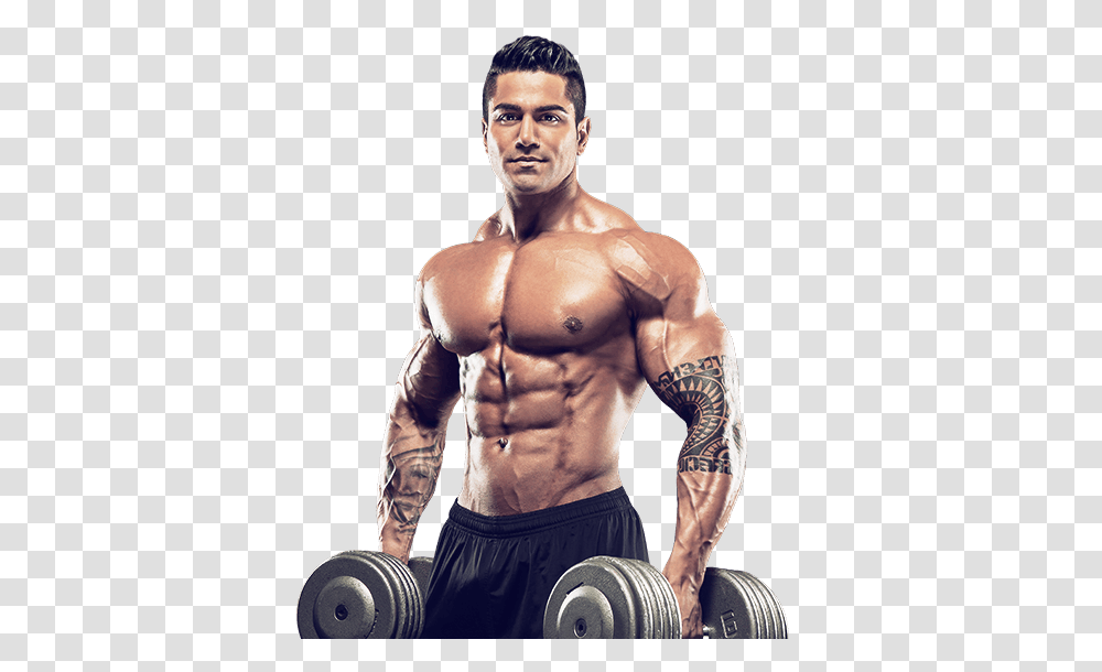 Bodybuilding, Sport, Person, Human, Working Out Transparent Png