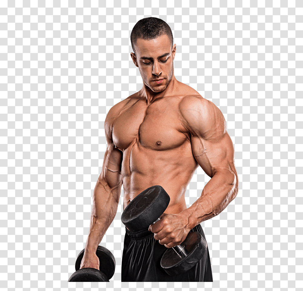 Bodybuilding, Sport, Person, Human, Working Out Transparent Png