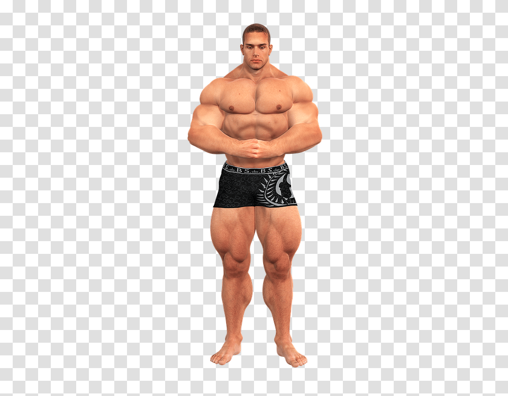 Bodybuilding, Sport, Shorts, Person Transparent Png