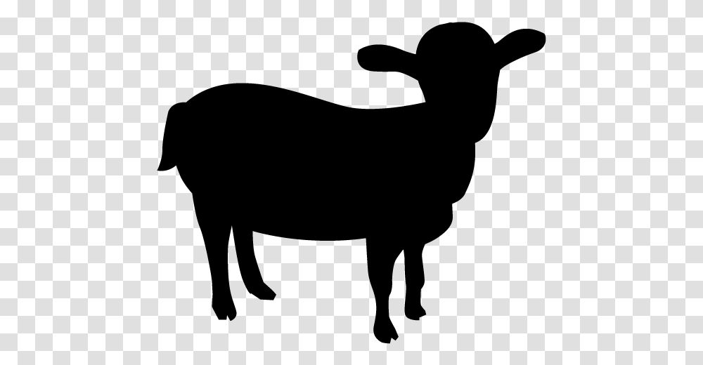 Boer Goat Feral Goat Cattle Mountain Goat Outline Australian Shepherd Silhouette, Gray, World Of Warcraft, Halo Transparent Png