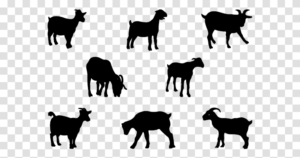 Boer Goat Pygmy Goat Nigerian Dwarf Goat Anglo Nubian Baby Goat Clipart Black And White Silhouette, Gray, World Of Warcraft Transparent Png