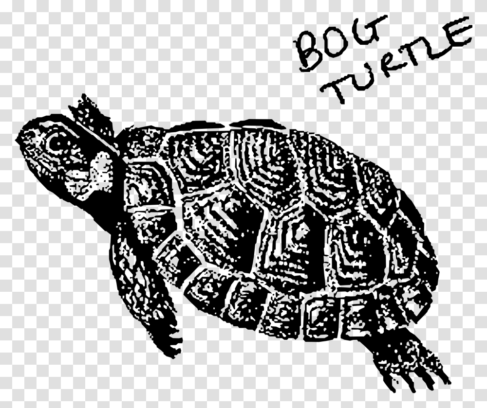 Bog Turtle Clip Arts Black And White Bog Turtle, Gray, World Of Warcraft Transparent Png